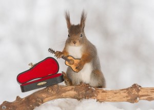 Read more about the article Squirrels With Tiny Musical Instruments